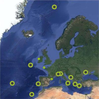 InSEA Project: Initiatives in Supporting the Consolidation and Enhancement of the EMSO Infrastructure and Related Activities